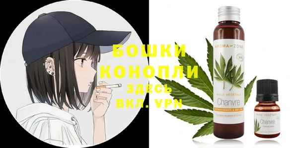 твердый Козельск