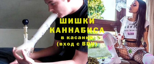 твердый Козельск