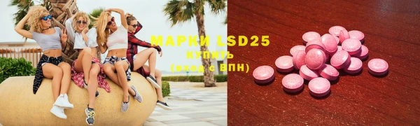 твердый Козельск