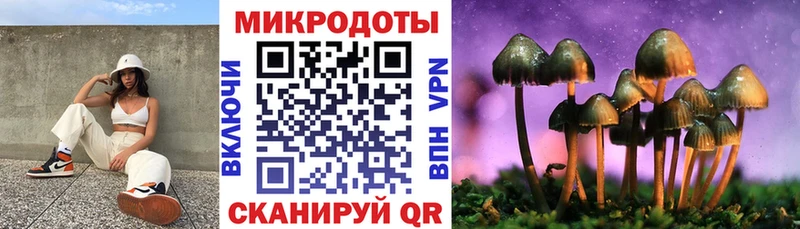 Псилоцибиновые грибы GOLDEN TEACHER  Купить закладки  Ковров 